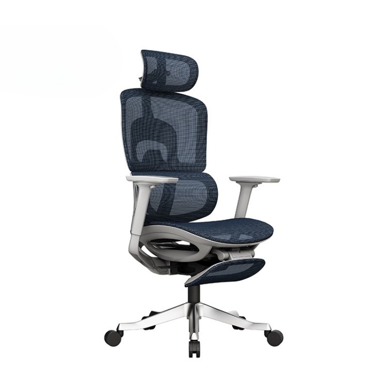 Kursi ergonomis, dengan pelind - Office Chair ulasan dan harga